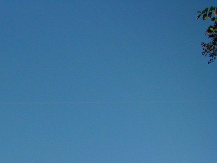 디즈니런 서울 2025 여의도 마라톤 개최 캐릭터 코스프레까지 참가접수는?