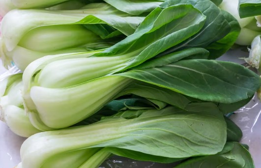 청경채 효능·영양성분·부작용·먹는법 총정리