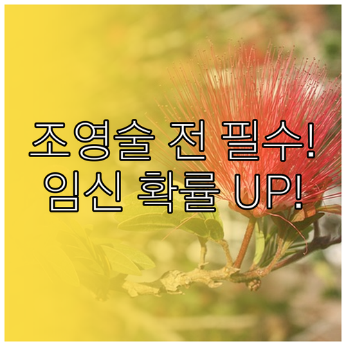 나팔관 조영술 검사 시기 주의사항 및..