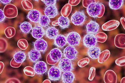 프로폴리스 효능