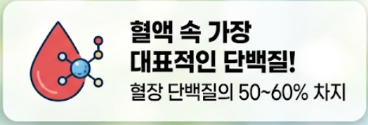 알부민 효능