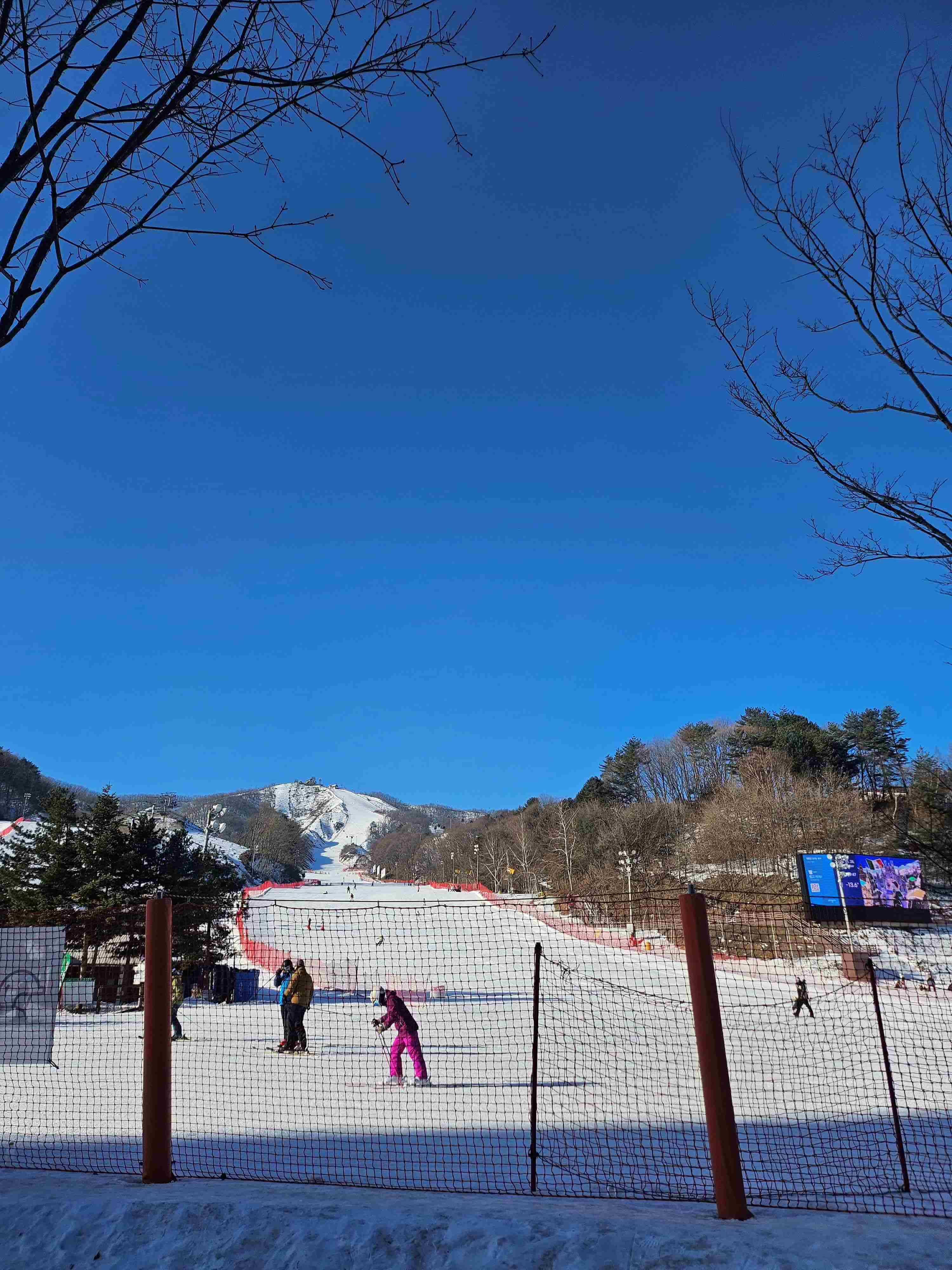 평창 휘닉스 파크 스키장 - 50대가 즐기기 좋은 스키 여행지