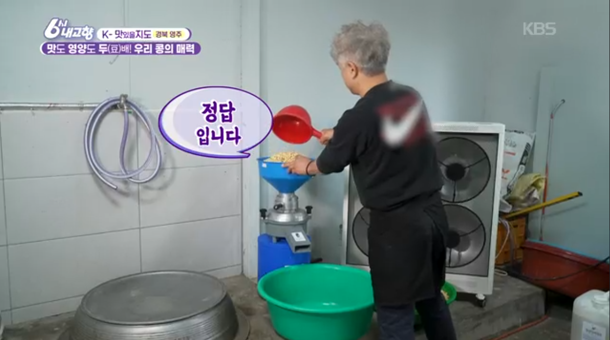 국산 콩(6시내고향 k맛있을지도)