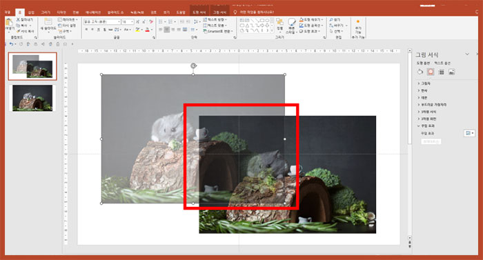 파워포인트 ppt 이미지 사진 투명도 조절