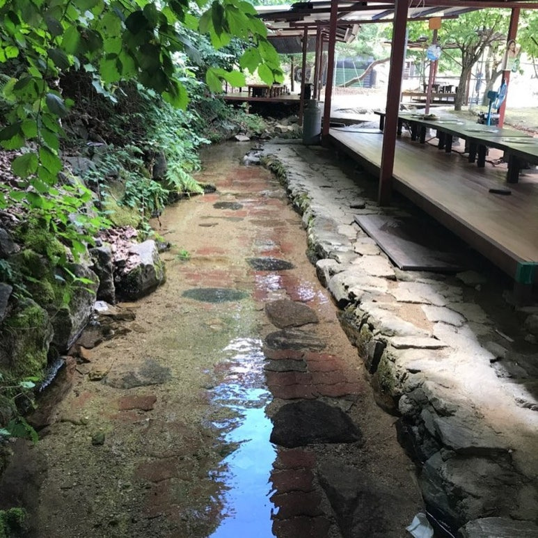 춘천 계곡에 백숙 맛집, 명월촌