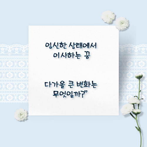 임신하는 꿈해몽