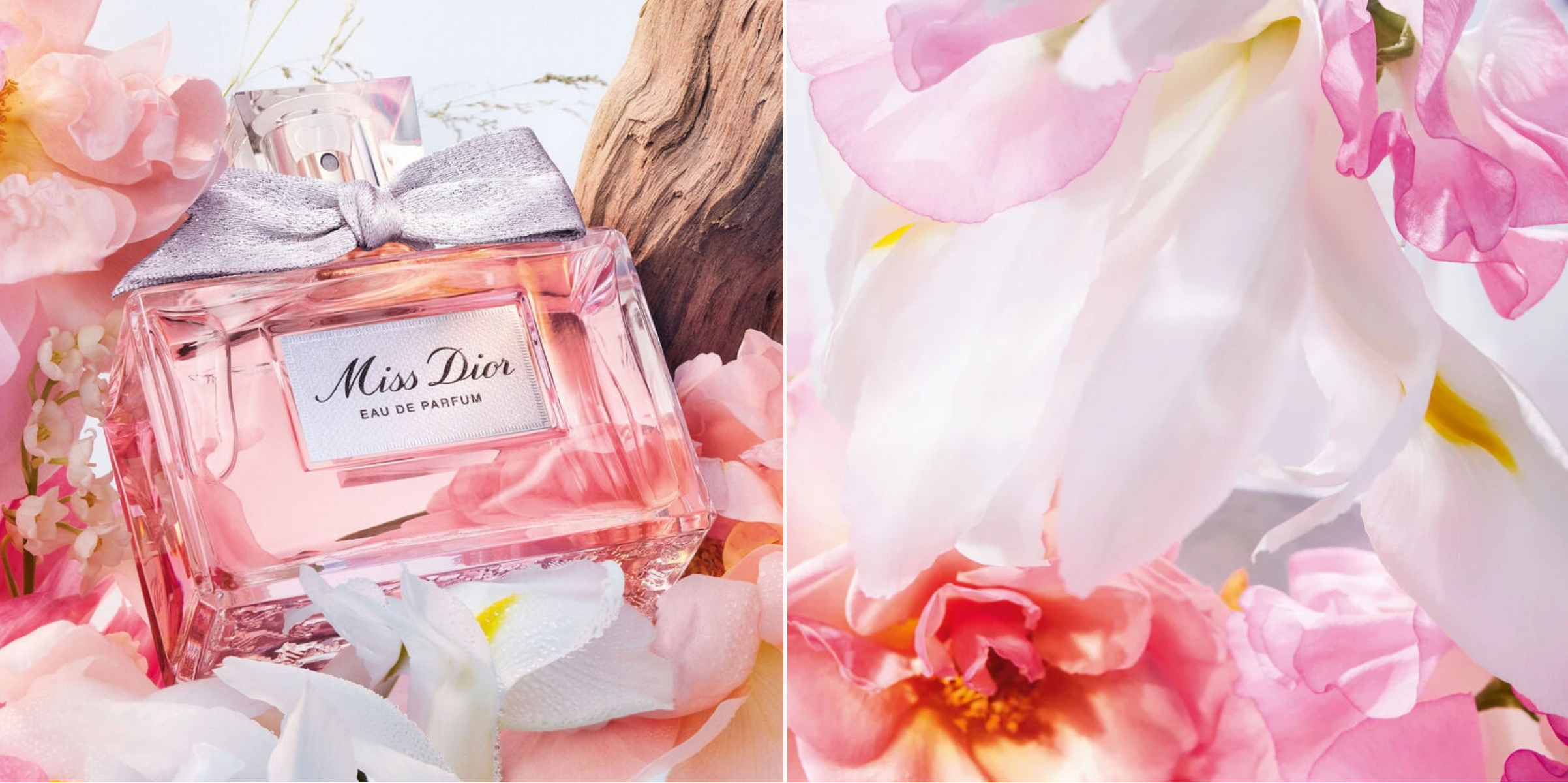 화이트데이 선물 향수 사진