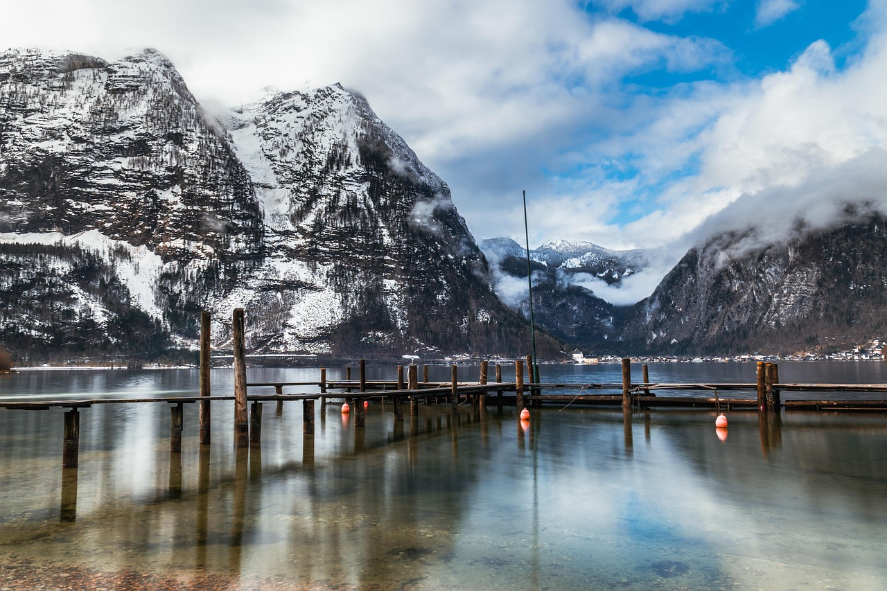 평온한자연이미지