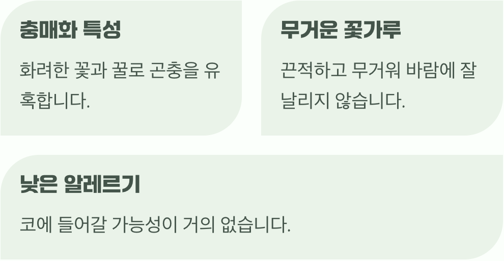 참나리의 꽃가루는 무겁고 끈적해요