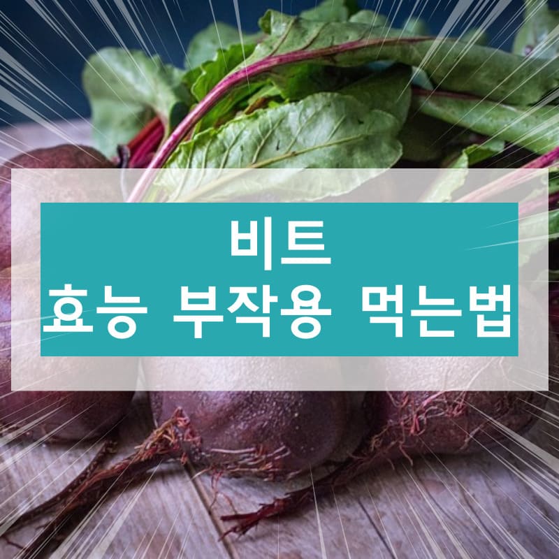 비트 효능 부작용
