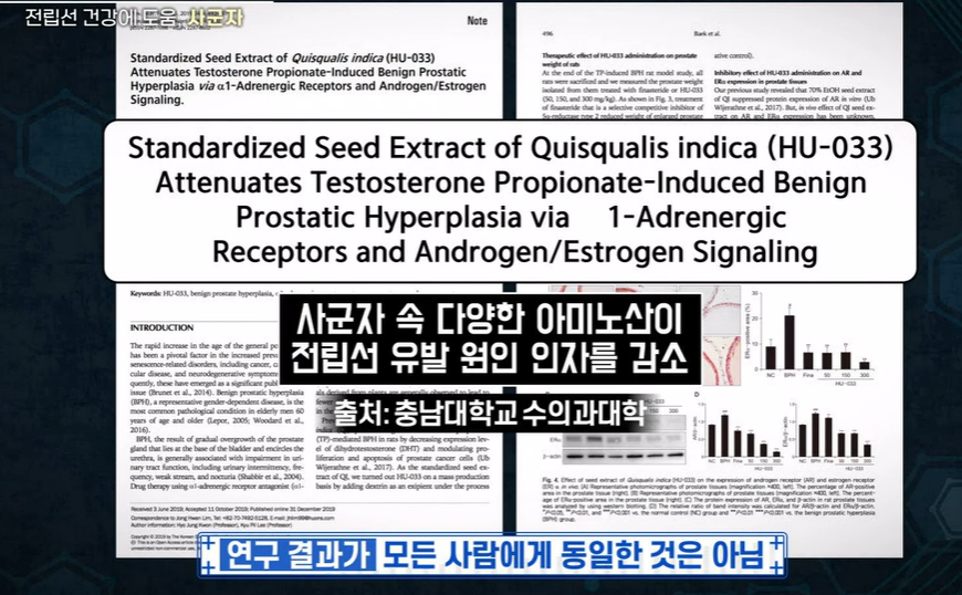 전립선 사군자