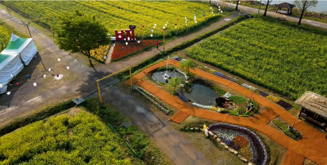 창녕 유채꽃축제.낙동강 유채축제_2023년.행사안내