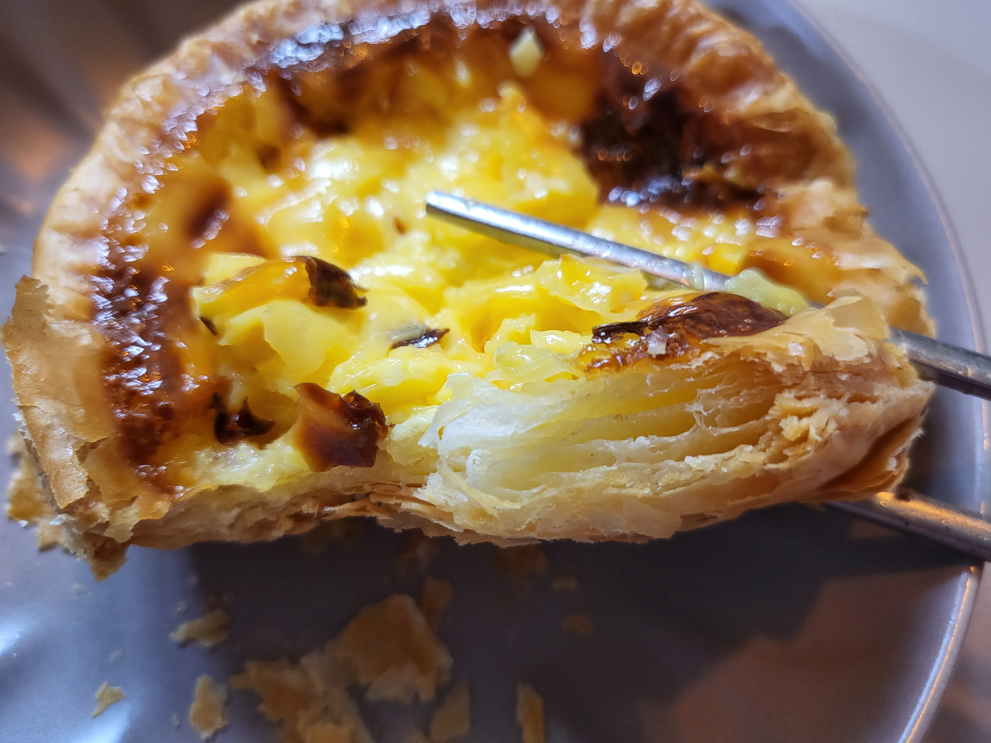 타르트야 - 단면샷