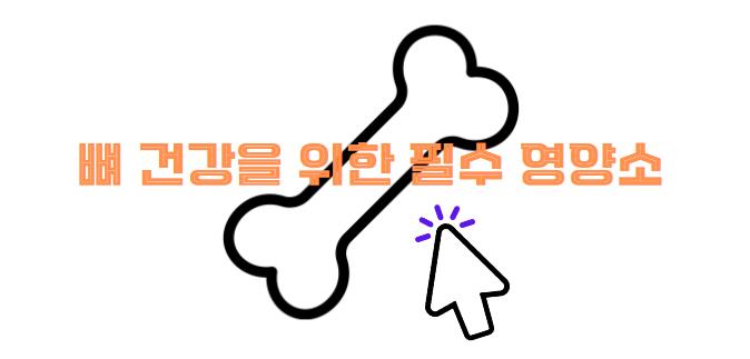 뼈 건강을 위한 필수 영양소 알아보기