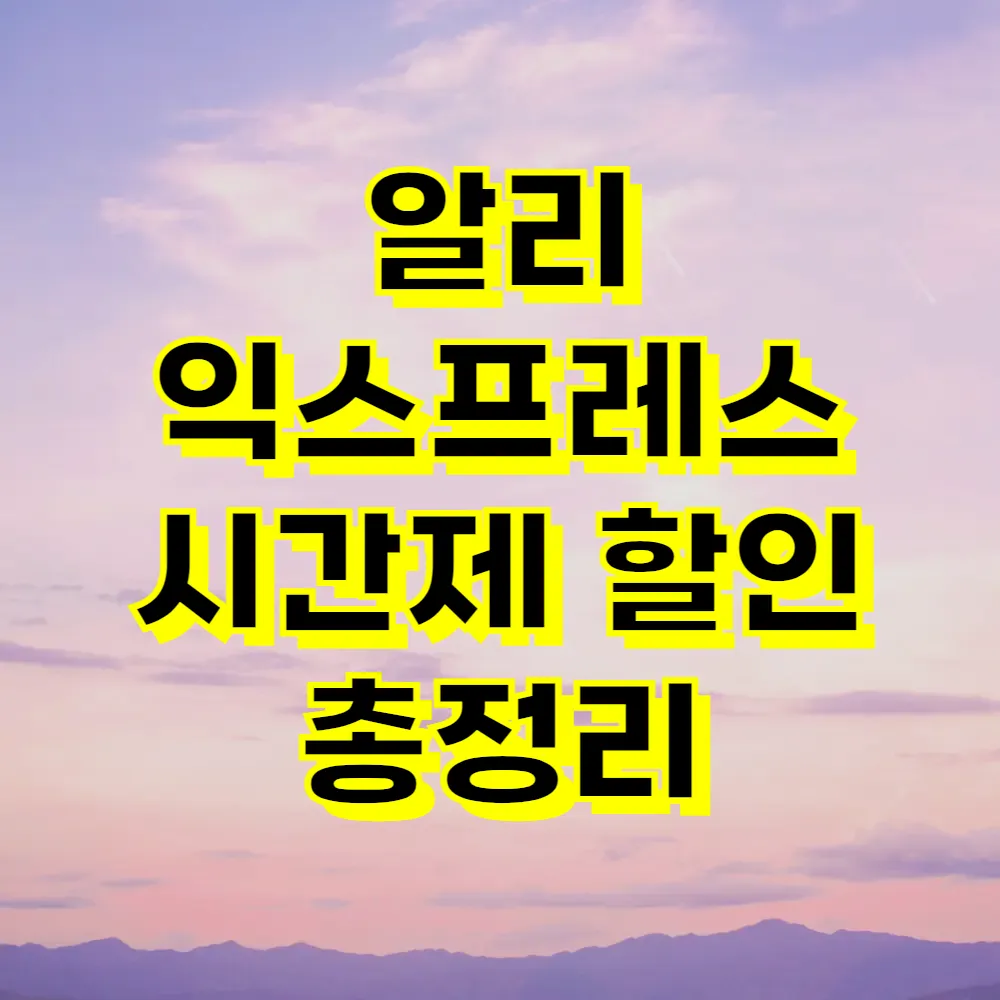 알리 익스프레스 시간제 할인 총정리