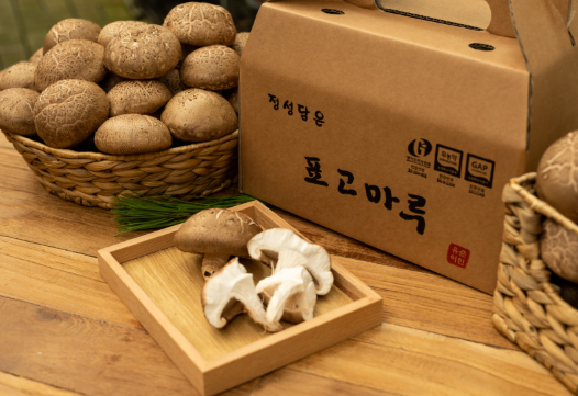 표고마루 버섯랜드