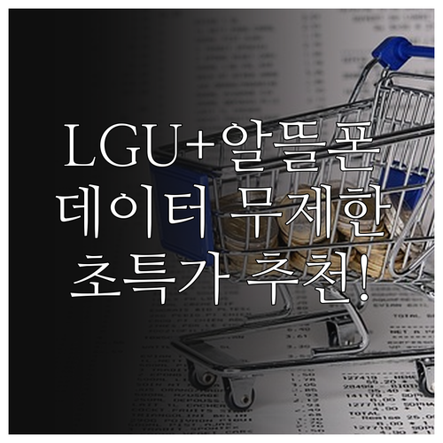 LGU+망 알뜰폰 요금제 비교 분석 ..