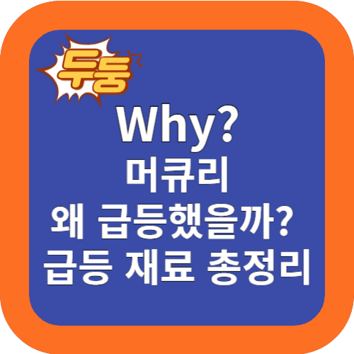 왜? 머큐리 주식 급등 했을까? 급등재료 총정리