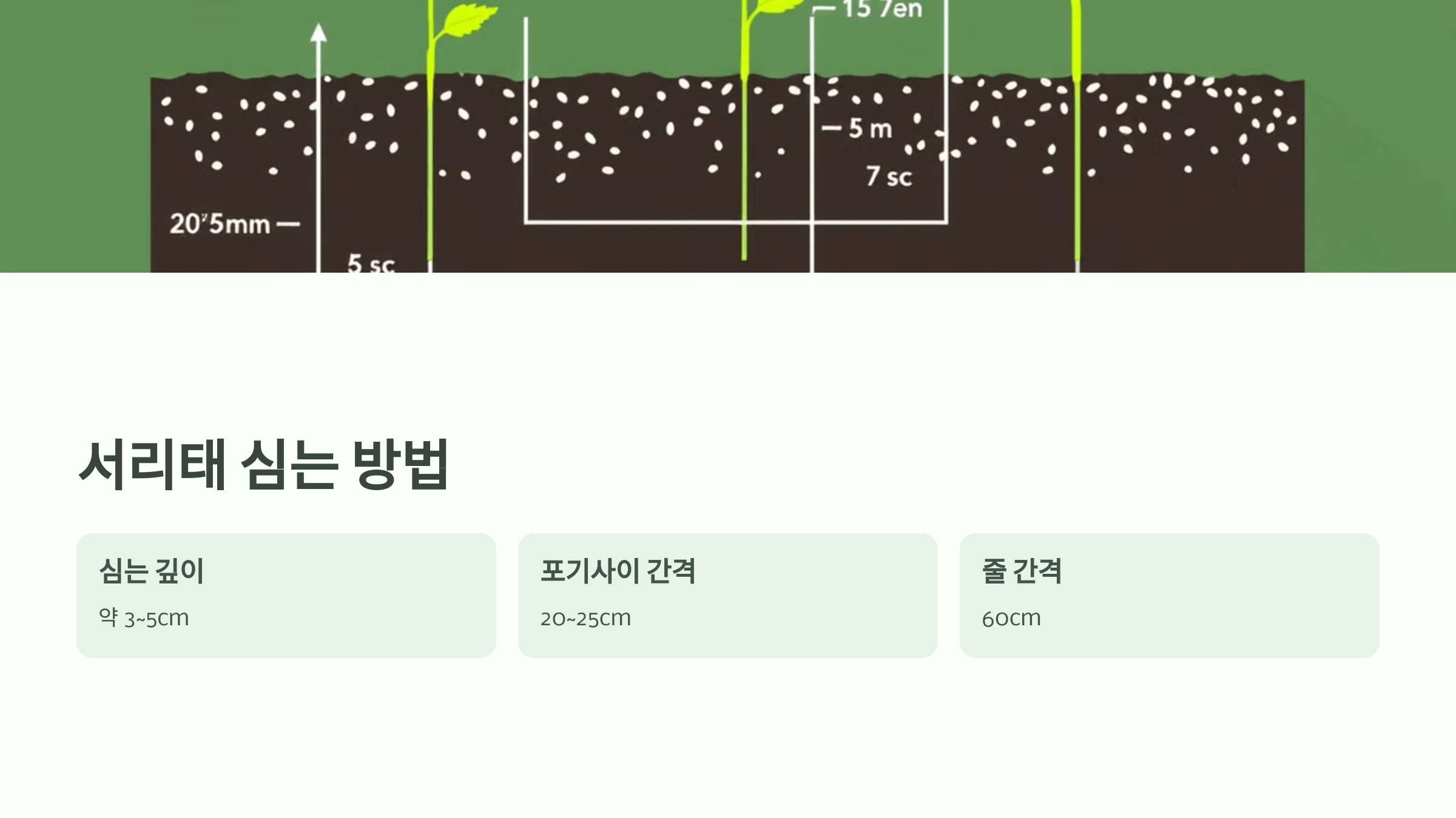 서리태 사진입니다.