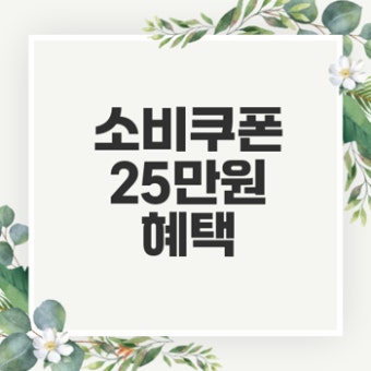 민생회복 소비쿠폰 사용처 총정리 (2)