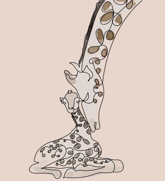 기대와 실망 사이, 그 간격을 줄이는 법