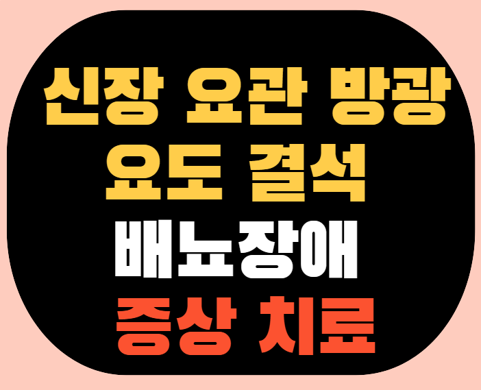 신장 요관 방광 요도 결석