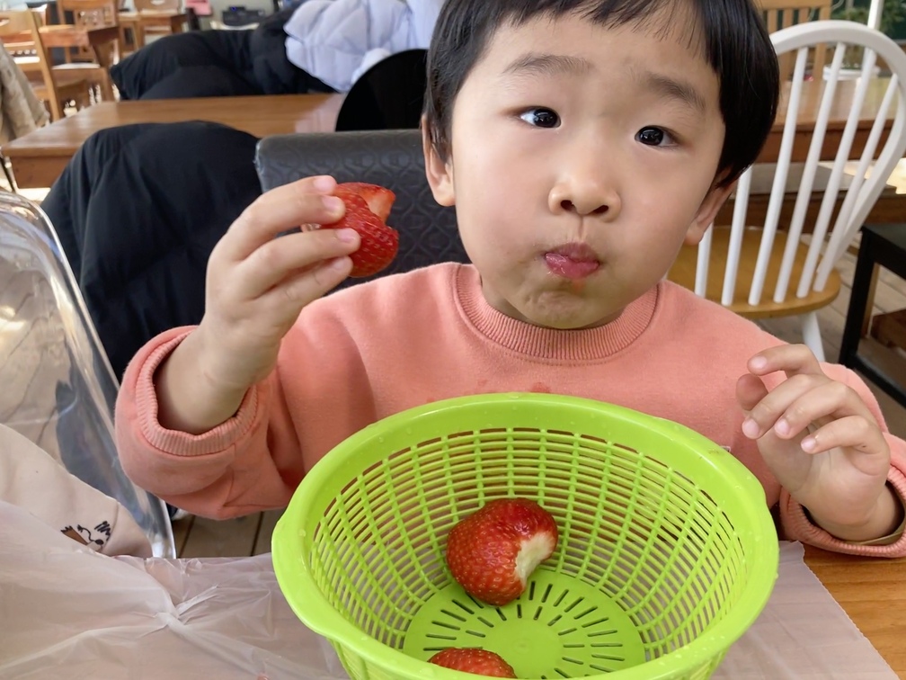딸기시식3