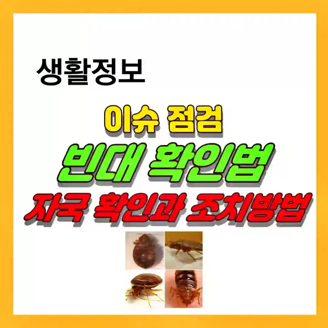 빈대 물린 자국 확인 방법 썸네일 입니다.