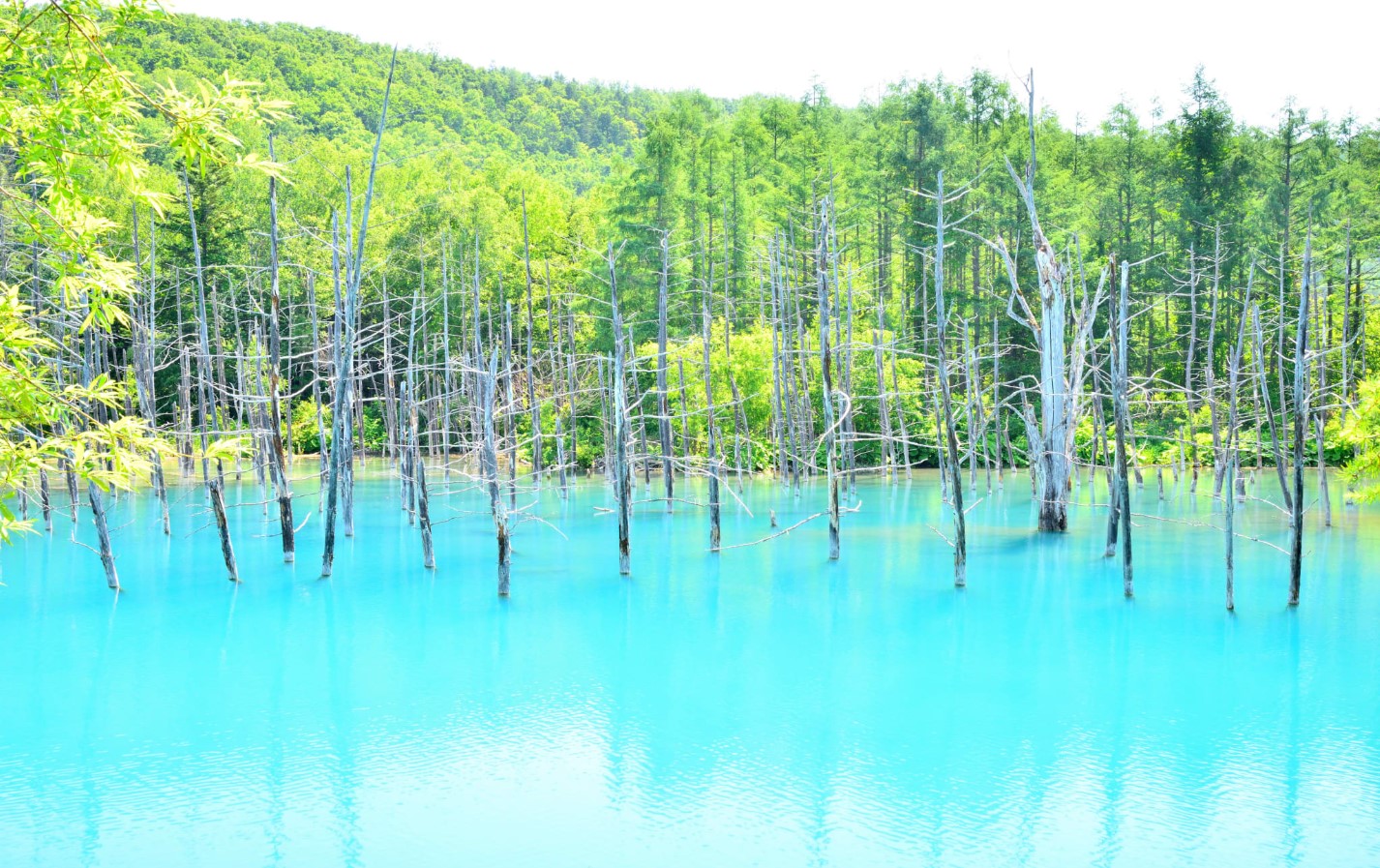 홋카이도-비에이정의-청의-호수