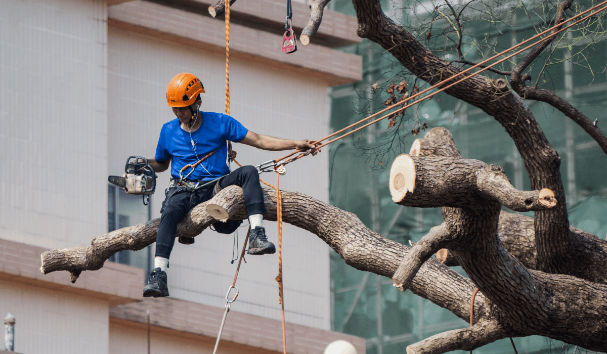 근로장려금_신청_자격_48