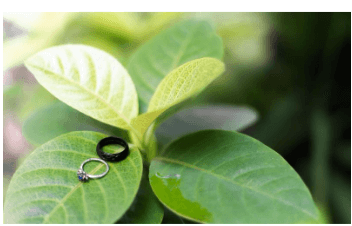 정서적 바람 박지윤 최동석