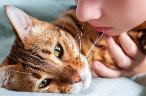 아이에게 걱정을 받고 있는 고양이