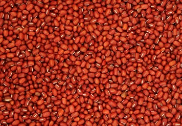 농업e지 농림축산식품부