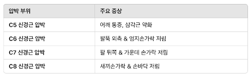신경 압박 위치에 따른 증상 변화