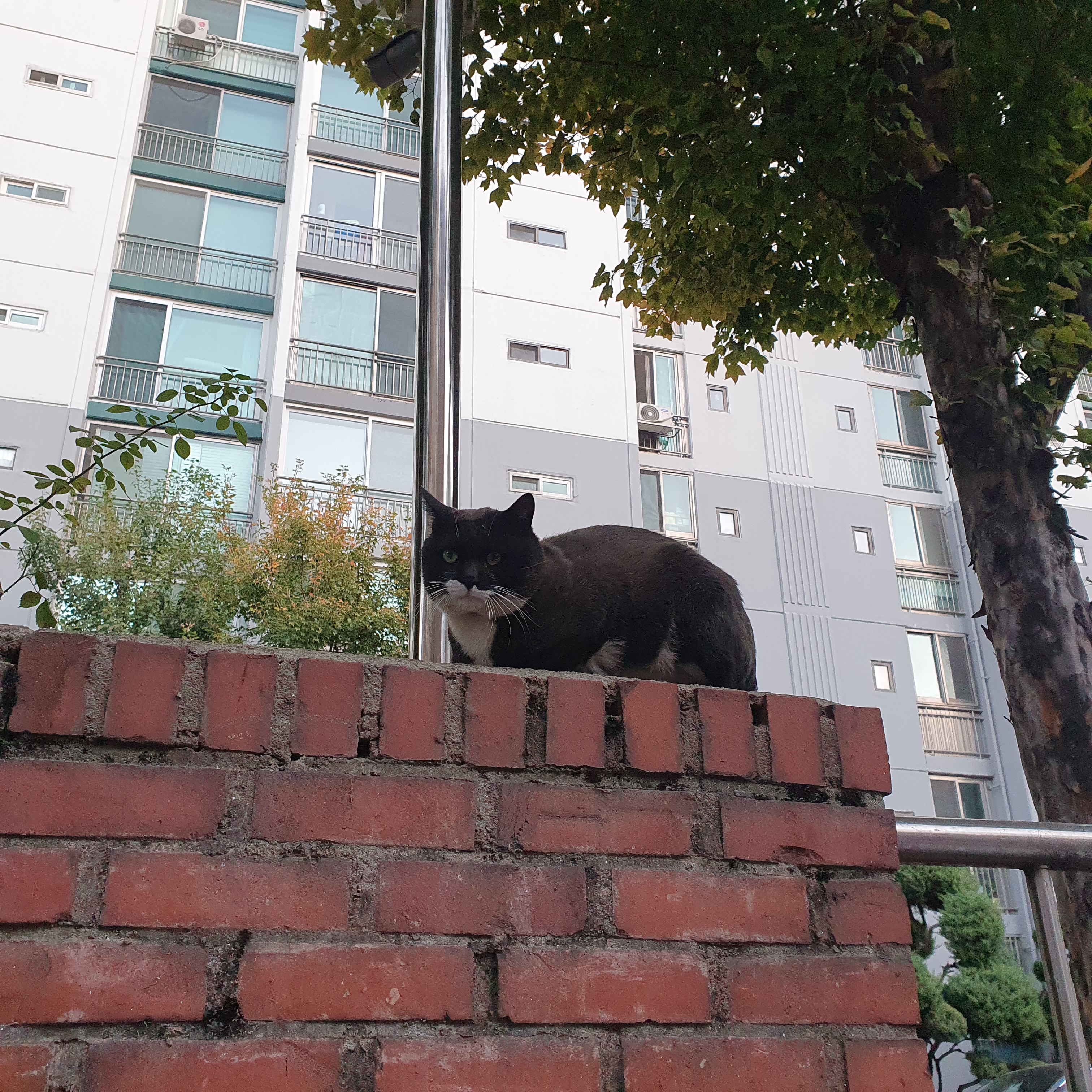 img |무료 이미지 다운로드