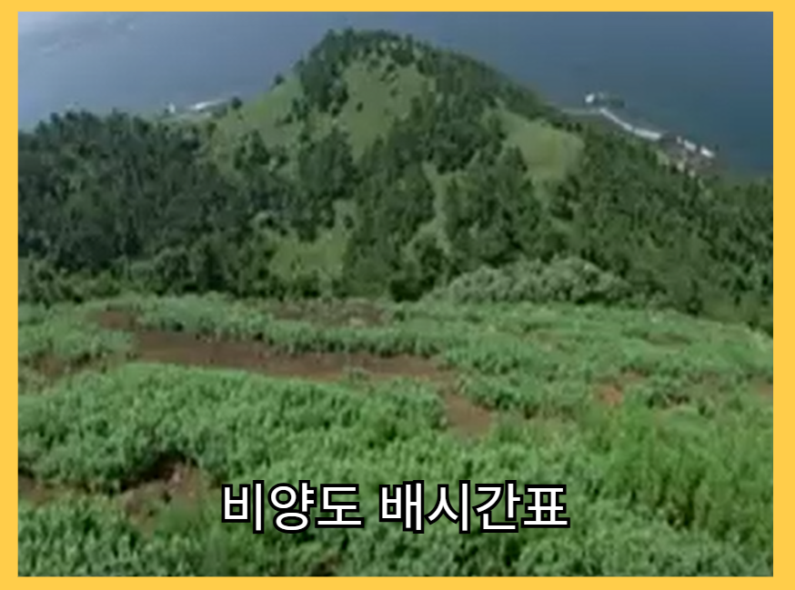 비양도_배시간표_인증샷명소