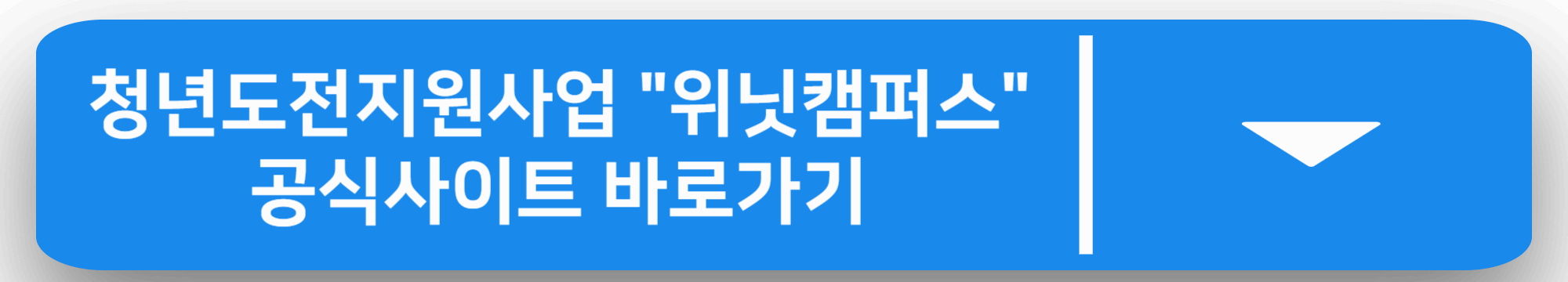 청년도전지원사업 &quot;위닛캠퍼스&quot; 공식사이트 바로가기