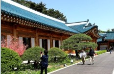 청와대 관람 신청(2025) 예약 방법 사진