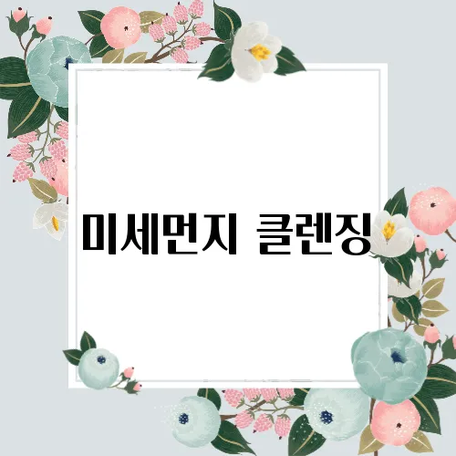 미세먼지 클렌징