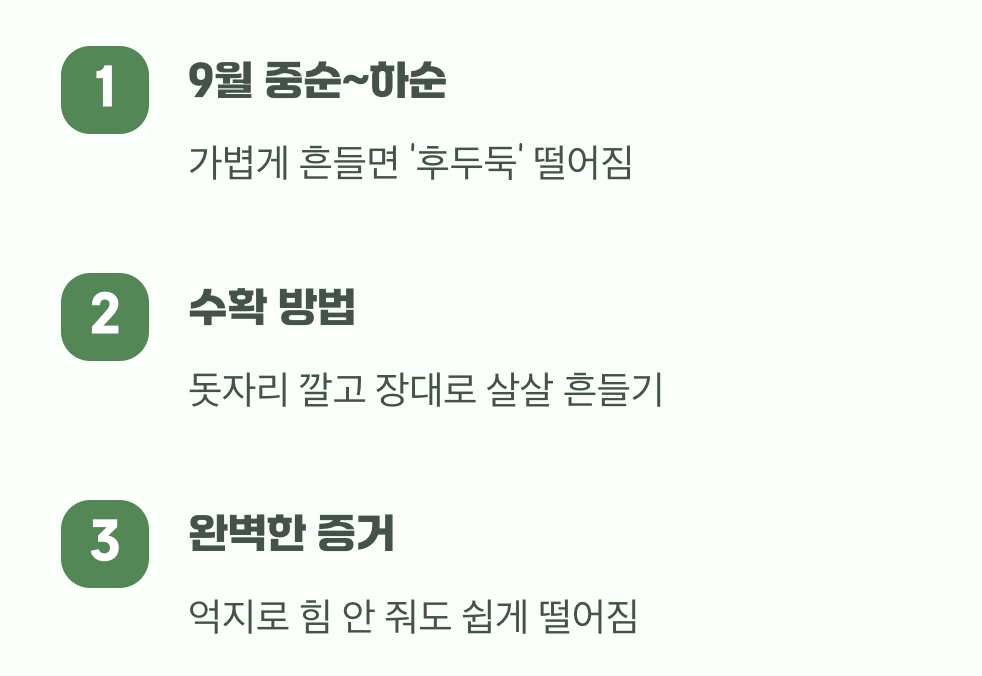최고의 타이밍&amp;#44; &lsquo;툭&rsquo; 하고 떨어지는 순간