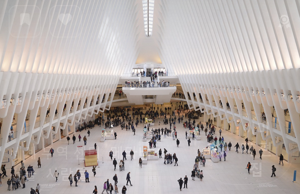 잠시 멈춰 서는 마음들 – 고속버스터미널 플랫폼에서