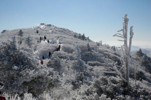 무주 덕유산 곤도라 예약5