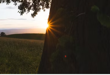 근저당 설정이란
