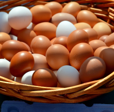 아침 계란, 이것과 먹으면 보약이 아니라 독입니다! 건강한 계란 조합 총정리
