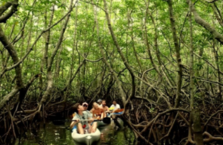 가야아일랜드리조트