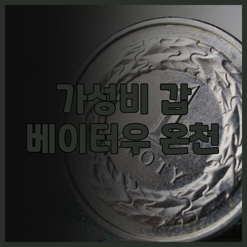 가성비 갑! 베이터우 스위트미 핫스프..