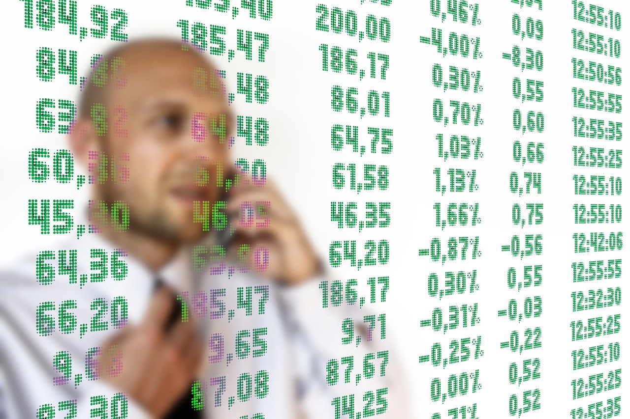 중국 미국 전기차 etf