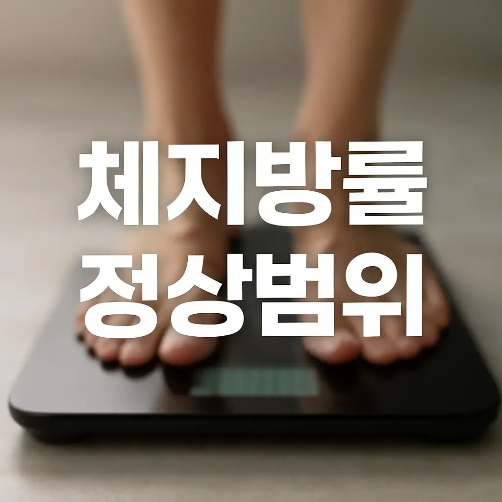 체지방률 정상범위