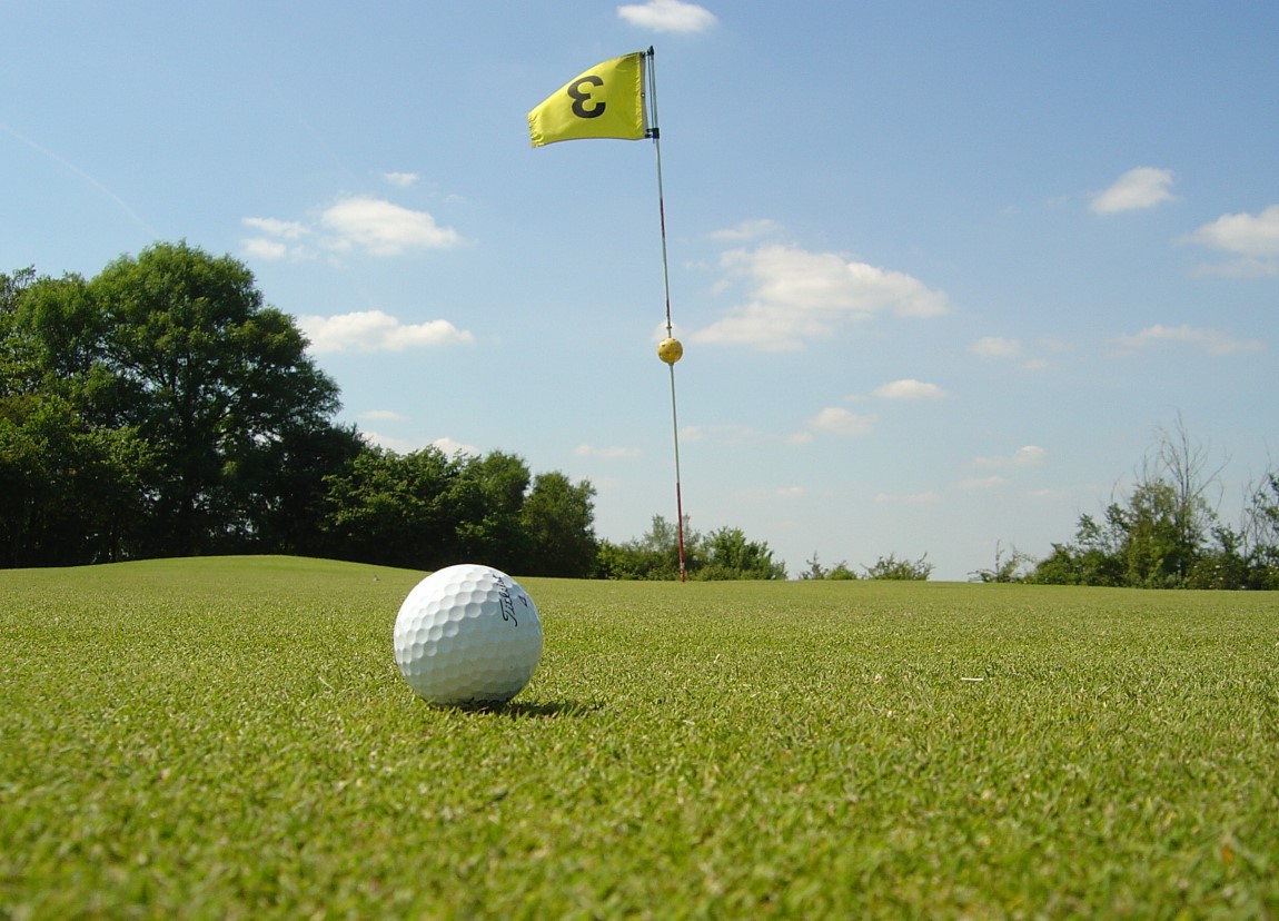 디 아니카 드리븐 바이 게인브릿지 앳 펠리컨