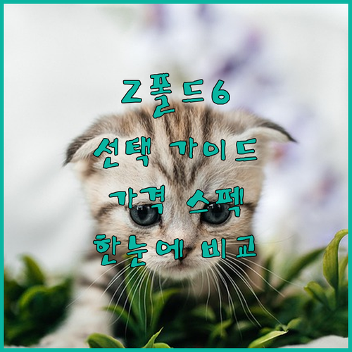 Z폴드6 선택 가이드 가격 스펙 리뷰..